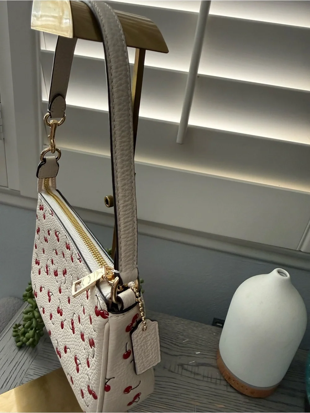 Coach NWT 🍒Cherry Nolita 19 in Chaulk Multi Cherry Print Pebble Leather 🍒 w/DB